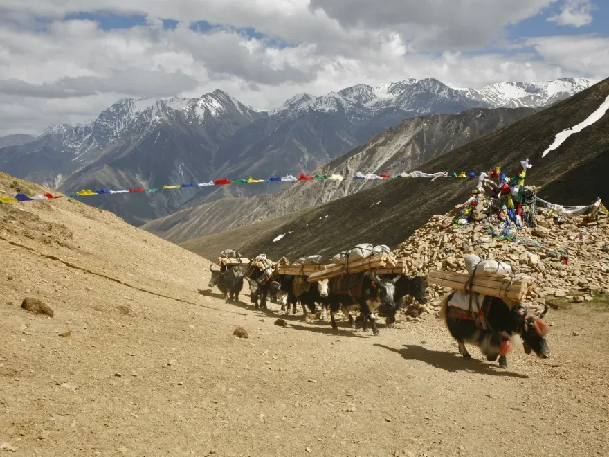 Humla & Limi Valley Trekking