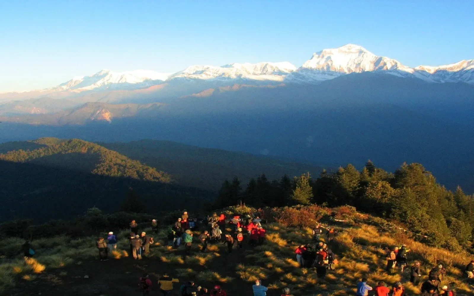 Ghorepani Poonhill Trek – Beginner’s Guide to a Budget-Friendly Short and Easy Trek in Nepal