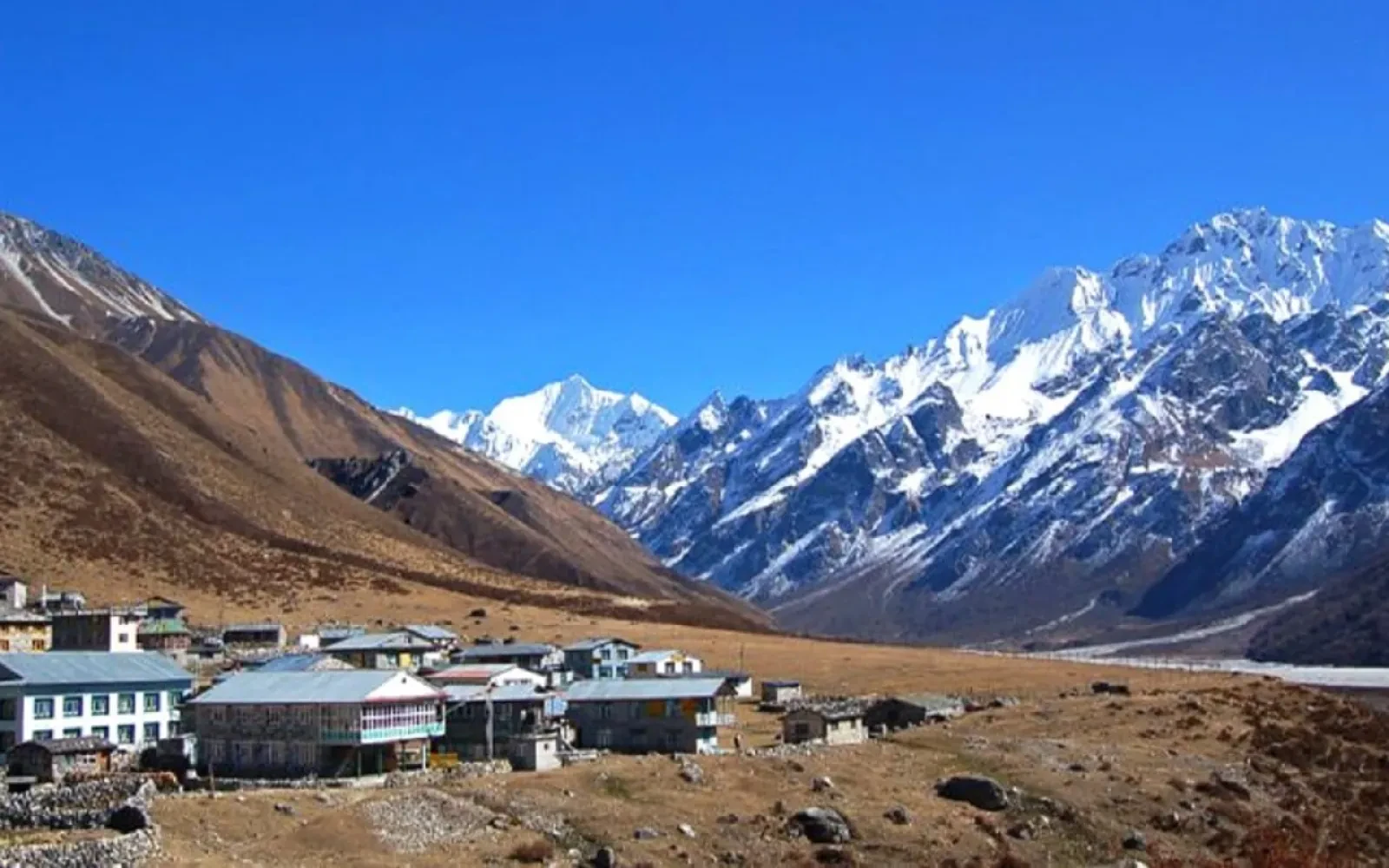10 Reasons to Go For Langtang Valley Trek