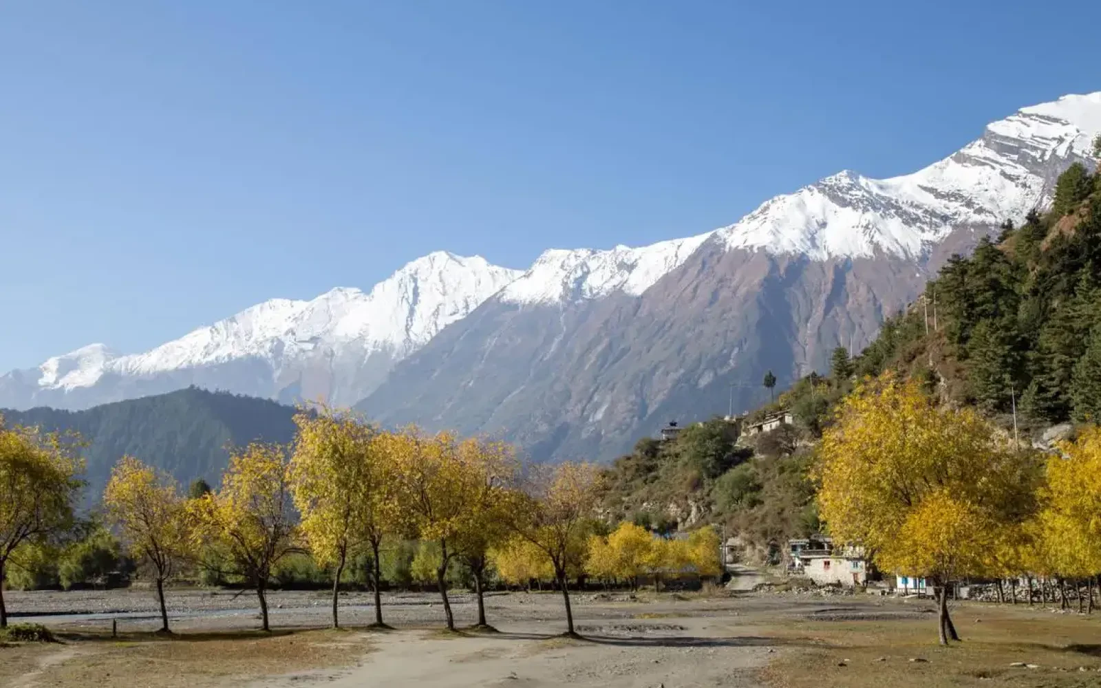 Top Annapurna Region Trekking Packages for 2025/2026
