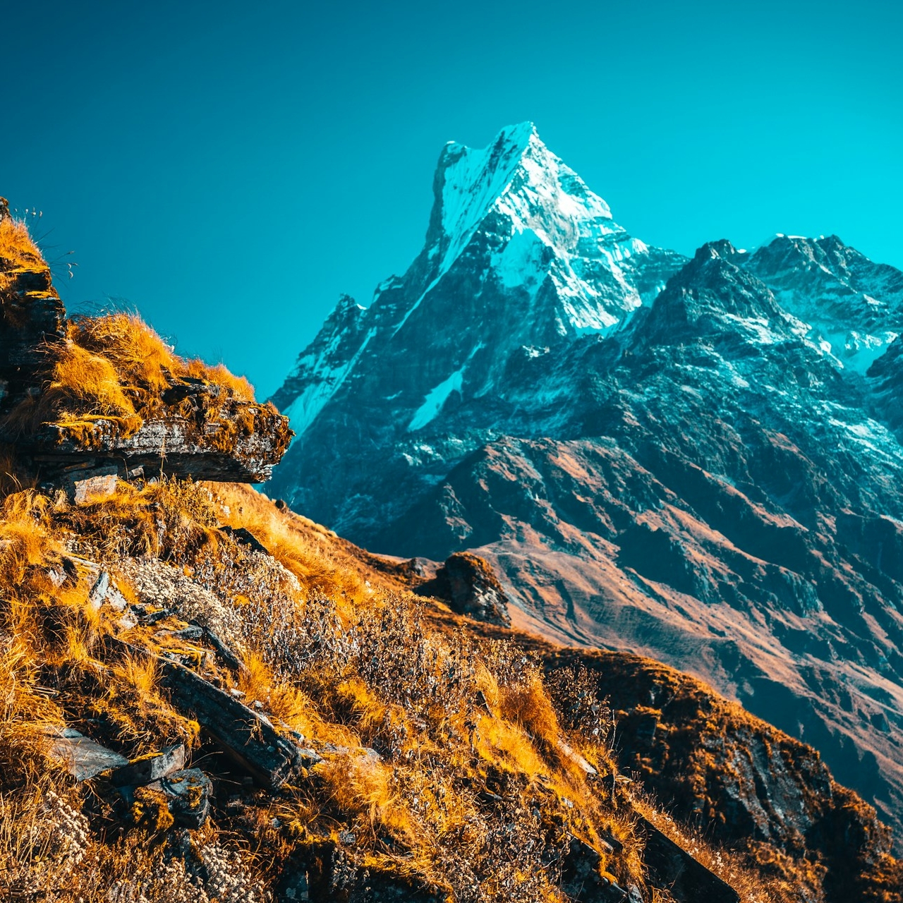 Special Area Trekking