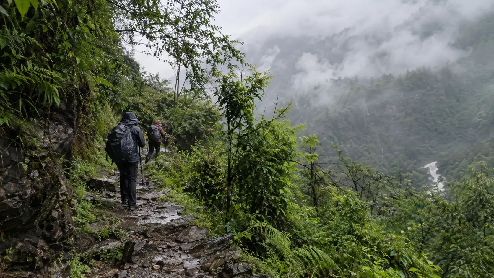 Trekkers walking on a wet misty trail in Nepal during the monsoon
