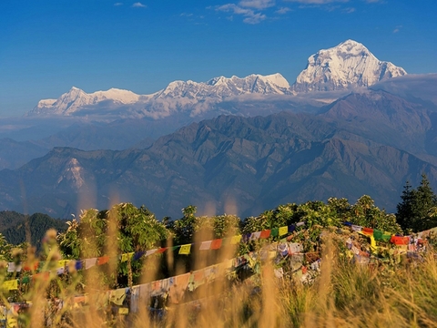 Ghorepani & Poon Hill Trekking